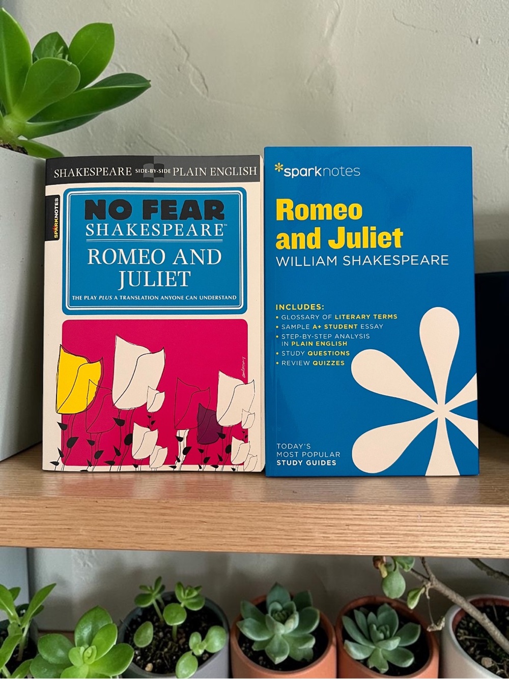 Romeo and Juliet Study Guide - Set of 2 Books